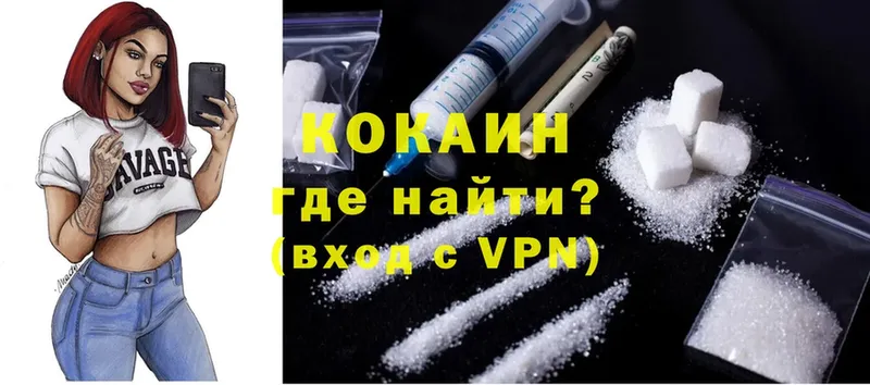 Cocaine FishScale  Новомичуринск 