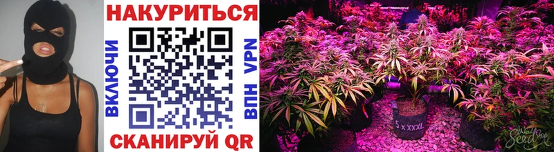Каннабис AK-47  darknet клад  mega сайт  Новомичуринск  сколько стоит 